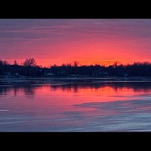 Meet your Posher, Rosie